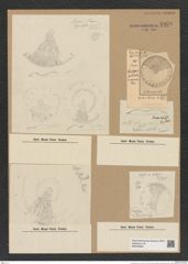 Coscinodiscus sp. (de-Toni-Nr.: Genus 202) Zeichnungen Sammlung Grunow Nr. 8959 (NHMW-BOT-W0378648)